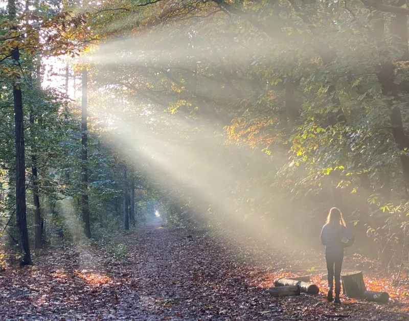 When the Cocoon Feels Familiar: Navigating a Second (or Third) Season of Deep Change