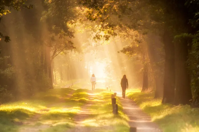 Your Growth Doesn't Owe Anyone a Highlight Reel